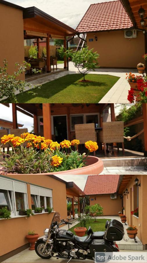 Villa Klara โนวีซาด ภายนอก รูปภาพ