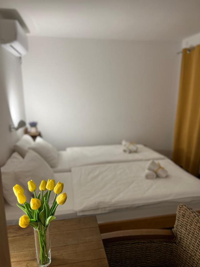 Villa Klara โนวีซาด ภายนอก รูปภาพ