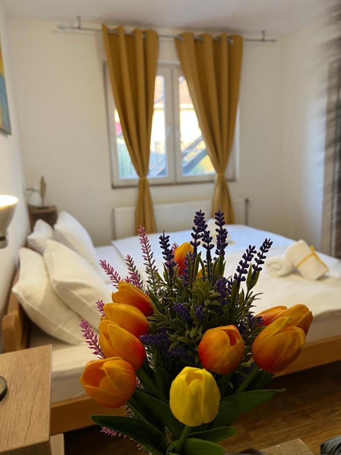 Villa Klara โนวีซาด ภายนอก รูปภาพ